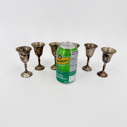 Silver Plated Brass Goblets (6)