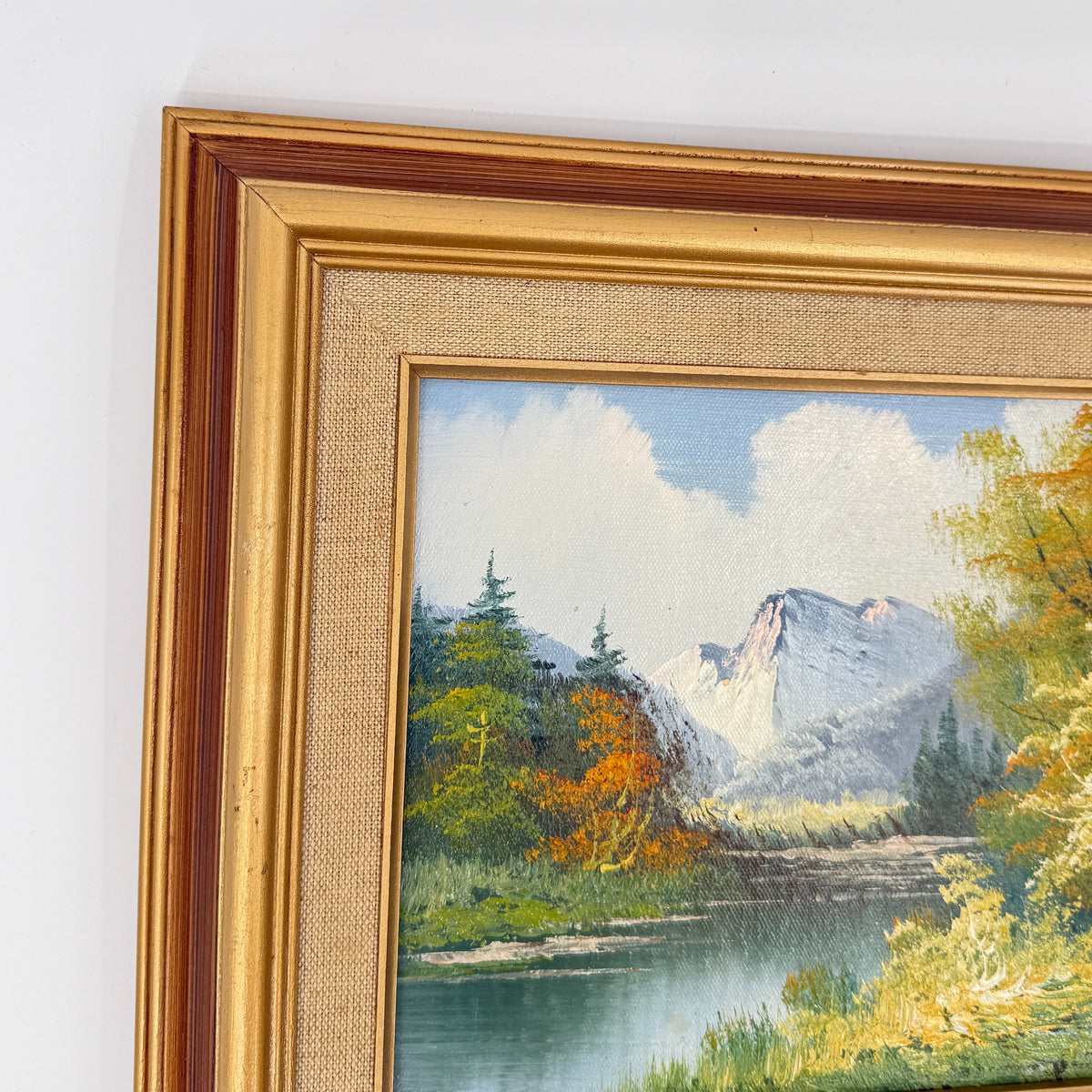 Mountain Landscape Oil
