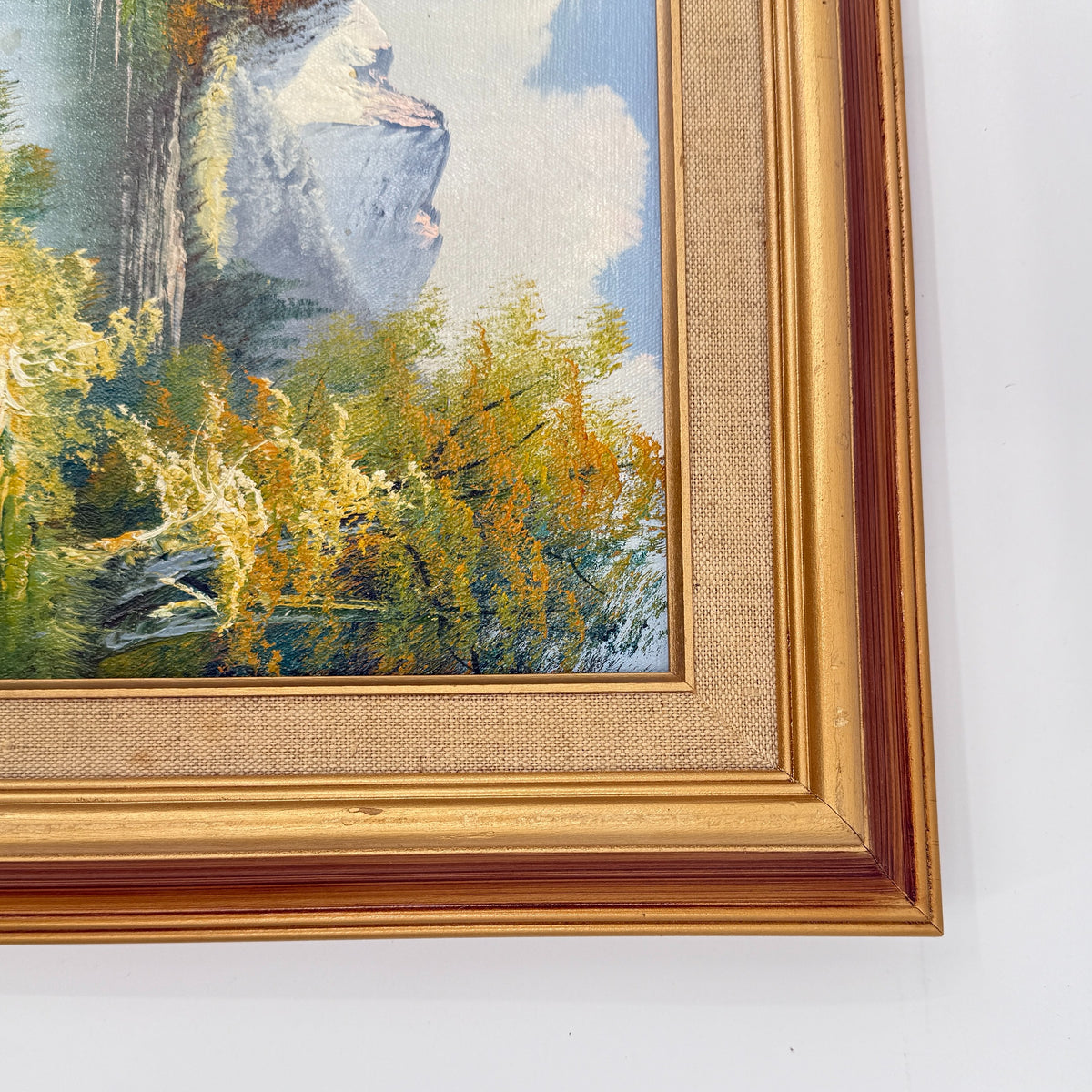 Mountain Landscape Oil