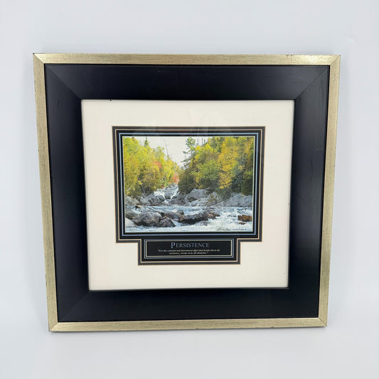 Alicia Soave Persistence Print