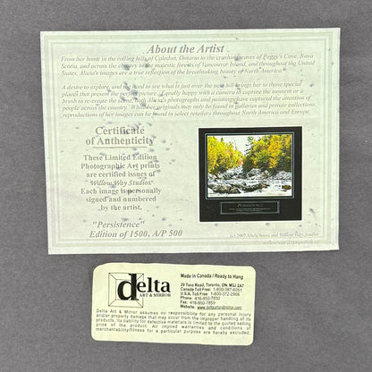 Alicia Soave Persistence Print