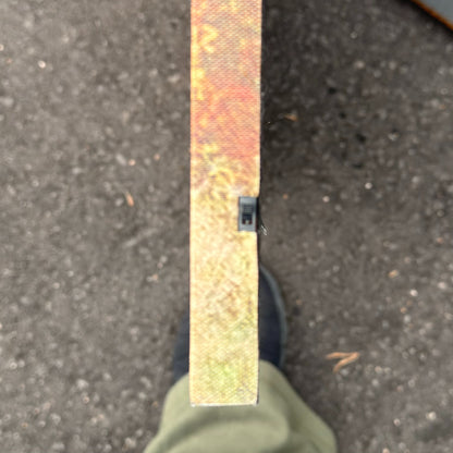 LED Train Canvas Art (23.5 x 16)