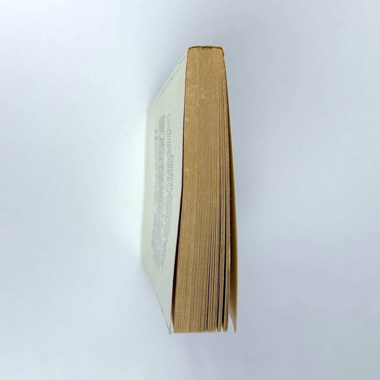 Vintage Dalmatians Classic