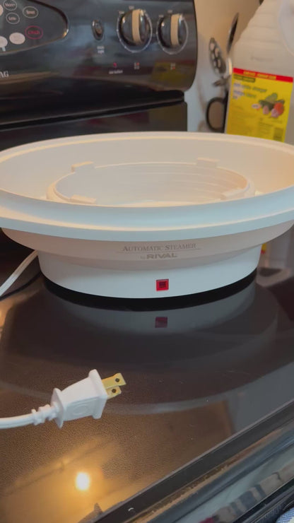 Rival Steamer Rice Cooker