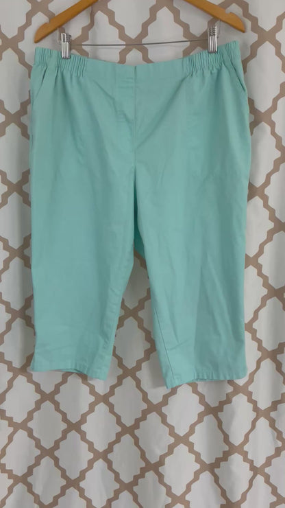 Alia Petite Capri