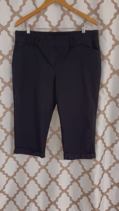 Penningtons Savvy capris