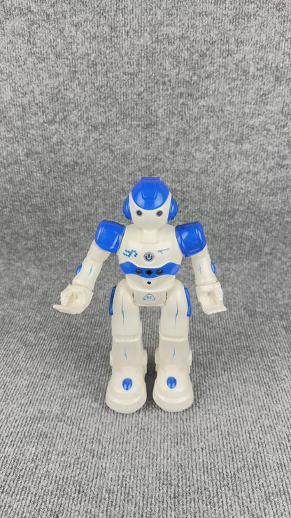 Pisexur Smart RC Robot